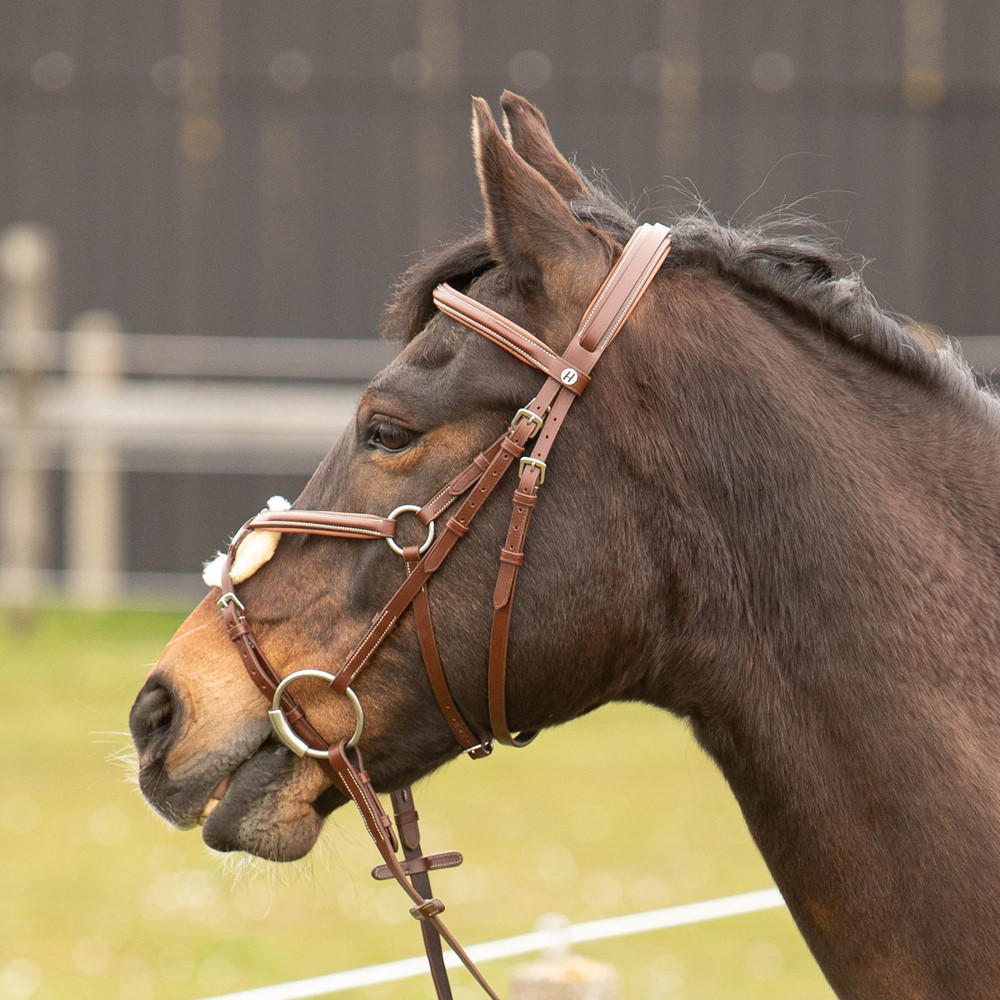 Hoofdstel HORSEGEAR HGGreylin Zwart - Eppleck Hoofdstel HORSEGEAR HGGreylin Zwart - Eppleck