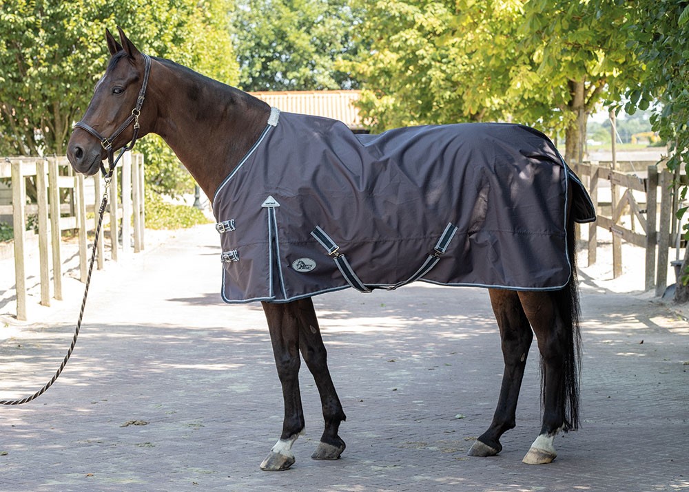 Turnout rug Thor 0gr ebony - 32200 image Turnout rug Thor 0gr ebony - 32200