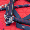 31007101-05-1
