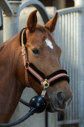 31007202-14-1