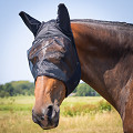 31300006-UNDEF-0