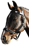31300015-UNDEF-1