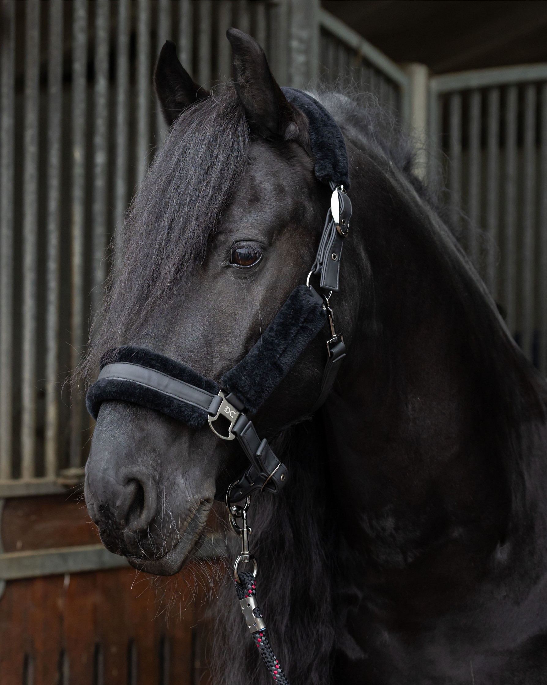 31003201_jet-black-2.jpg